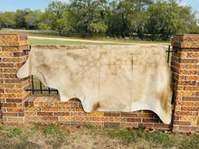 Extra Large Cowhide - Golden Champagne in Color