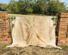 Extra Large Cowhide - Golden Champagne in Color