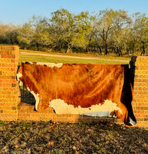 Extra Large Cowhide - Medium Tone Brown and White Brindle