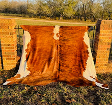 Extra Large Cowhide - Medium Tone Brown and White Brindle