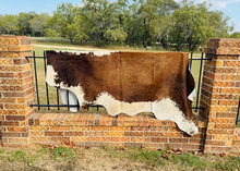 Large Cowhide - Brown and White in Color