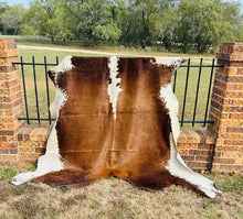 Large Cowhide - Brown and White in Color