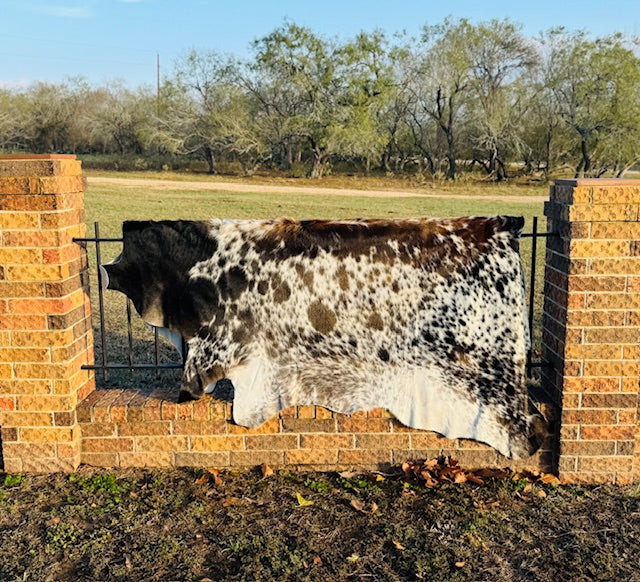 Large Cowhide - Dark Brown and White Longhorn