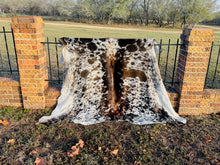 Large Cowhide - Dark Brown and White Longhorn
