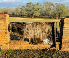 Large Cowhide - Tan and Dark Brown Brindle