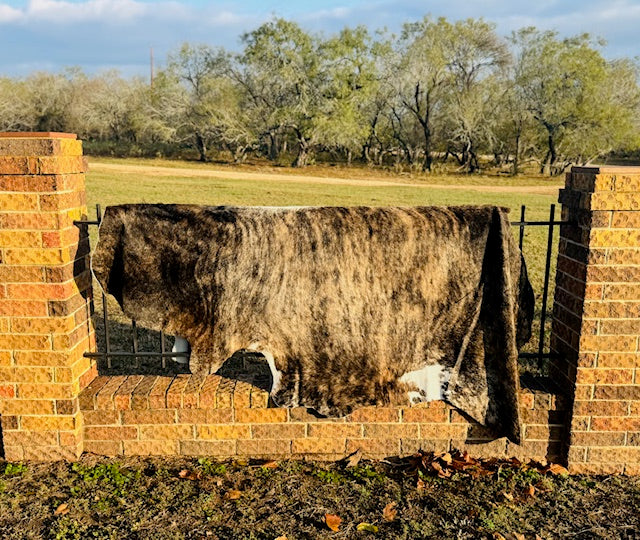 Large Cowhide - Tan and Dark Brown Brindle