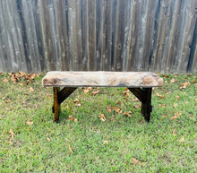 Cowhide Bench - Light Brindle 1