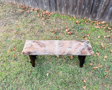 Cowhide Bench - Light Brindle 1