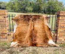 Extra Large Cowhide - Medium Brown Brindle in Color