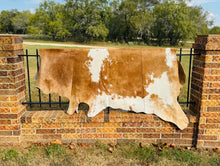 Large Cowhide - Tan and White in Color
