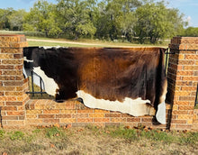 Extra Large Cowhide - Dark Brown and White